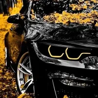 جلوبندی سازی سیار حرفه ای