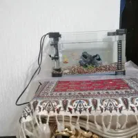 آکواریوم کوچیک با تمام وسایل
