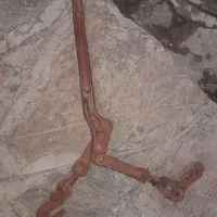 جقلوی مهار بار