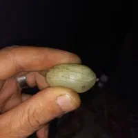مهره گبری