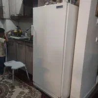 یخچال   و  فریزر کوچک ال جی