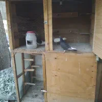 یه پشت دار تهرانی ماده..دوتا شهرستانی