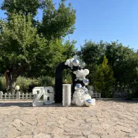 بادکنک آرایی/دیزاین/افتتاحیه