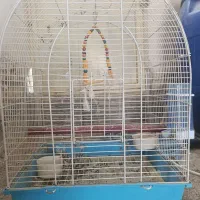 قفس پرنده