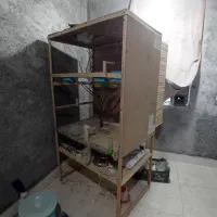 قفس پرنده