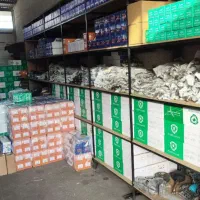 جلوبندی اوستا سید توس 42