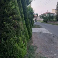 قطعه-270متری-مسکونی-سندششدانگ-بلوارمعلم-رامسر