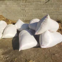 کاه کوبیده