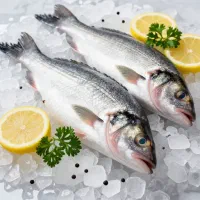 ماهی  تازه و روز  فروشگاه ماهی کاوه