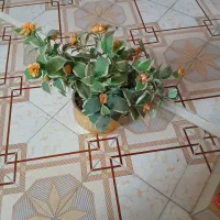 درختچه و گل مصنوعی
