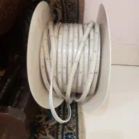 ریسه شلنگی
