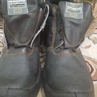 پوتین شرکتی