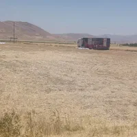 کاه گندم درجه یک
