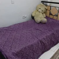 تخت تک نفره به همراه تشک