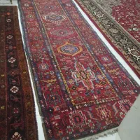 کناره|فرش|تبریز, |دیوار