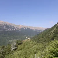 گیلانگردی ماشین در اختیار