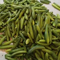 لوبیا سبز تازه