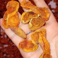 برگه قیصی امسال تازه،برای 2 هفته پیش