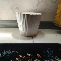 گلدان|گل و گیاه طبیعی|مشهد, بهمن|دیوار