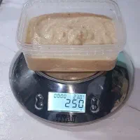 غذای خونگی تازه مخصوص گربه ها