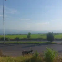 1000هکتارمزرعه-درالبرز