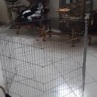 پارک سگ وگربه