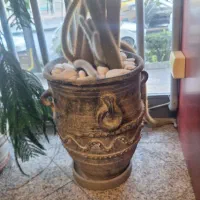 گل گاکتوس بزرگ با گلدان سنگی زینتی