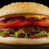 کتلت بزرگ بادستگاه تمام اتوماتیک