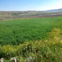 یونجه پرس آماده