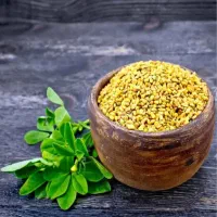 تخم یا بذر شنبلیله