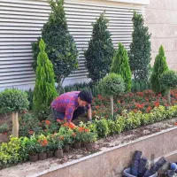 خدمات باغبانی گل وبازسازی باغچه هرس شخم زدن سمپاشی