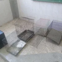 قفس پرنده قناری مرغ عشق عروس هلندی