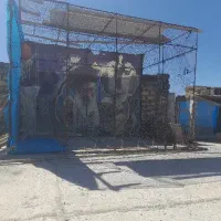 تورکفتر
