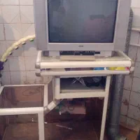 تلویزیون