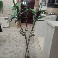 گل وگل بامبو نونونو