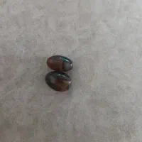 مهره سلیمانی
