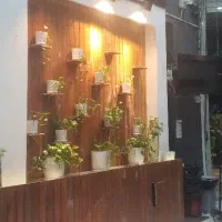 استخدام صندوقدار.سالندار.کانتردار و نیروی کافه