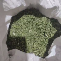 تره کوهی