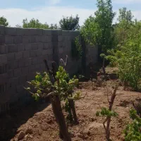 باغچه-فروشی