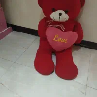 خرس ولنتاینی