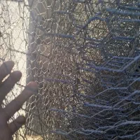 فنس درشت