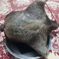 ظرف نگهدارنده مواد غذایی آشپزخانه
