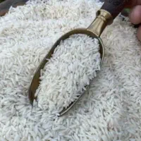 برنج شمالی عنبر بو چمپا