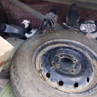 کفتر