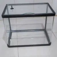 آکواریوم شیشه خم دلسا