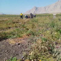 باسلام وخسته نباشید خدمت همشهریان