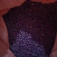 لوبیا قرمز
