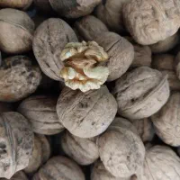 خوردنی|خوردنی و آشامیدنی|تهران, فرودگاه مهرآباد|دیوار