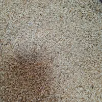 کنجد|عمده‌فروشی|قم, چهل درخت‎|دیوار