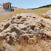 کاه گندم آبی ۶انبار کاملا خوردشده وریز